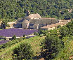 L'abbaye de Snanque au fond de son vallon